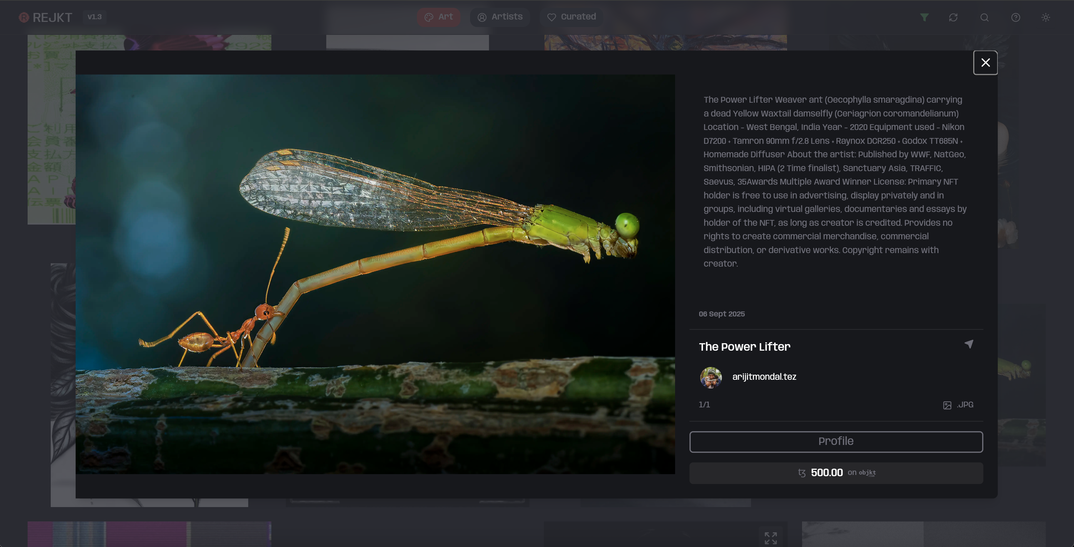 REJKT art gallery interface showing individual artwork with blockchain metadata and interactive elements